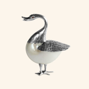 Duck with nautilus shell