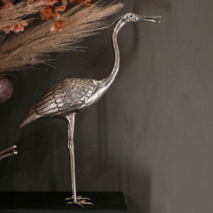 Alternative view of Royal heron (looking down)