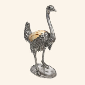 Alternative view of Ostrich with conch shell