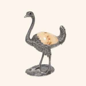 Ostrich with conch shell