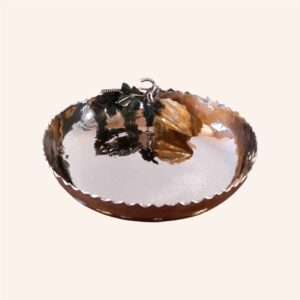 Taça fruto natural castanho