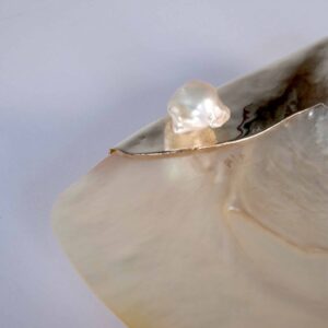 Alternative view of Taça de concha de madre pérola