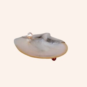 Taça de concha de madre pérola