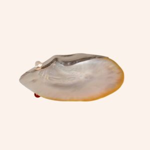 Taça de concha de madre pérola