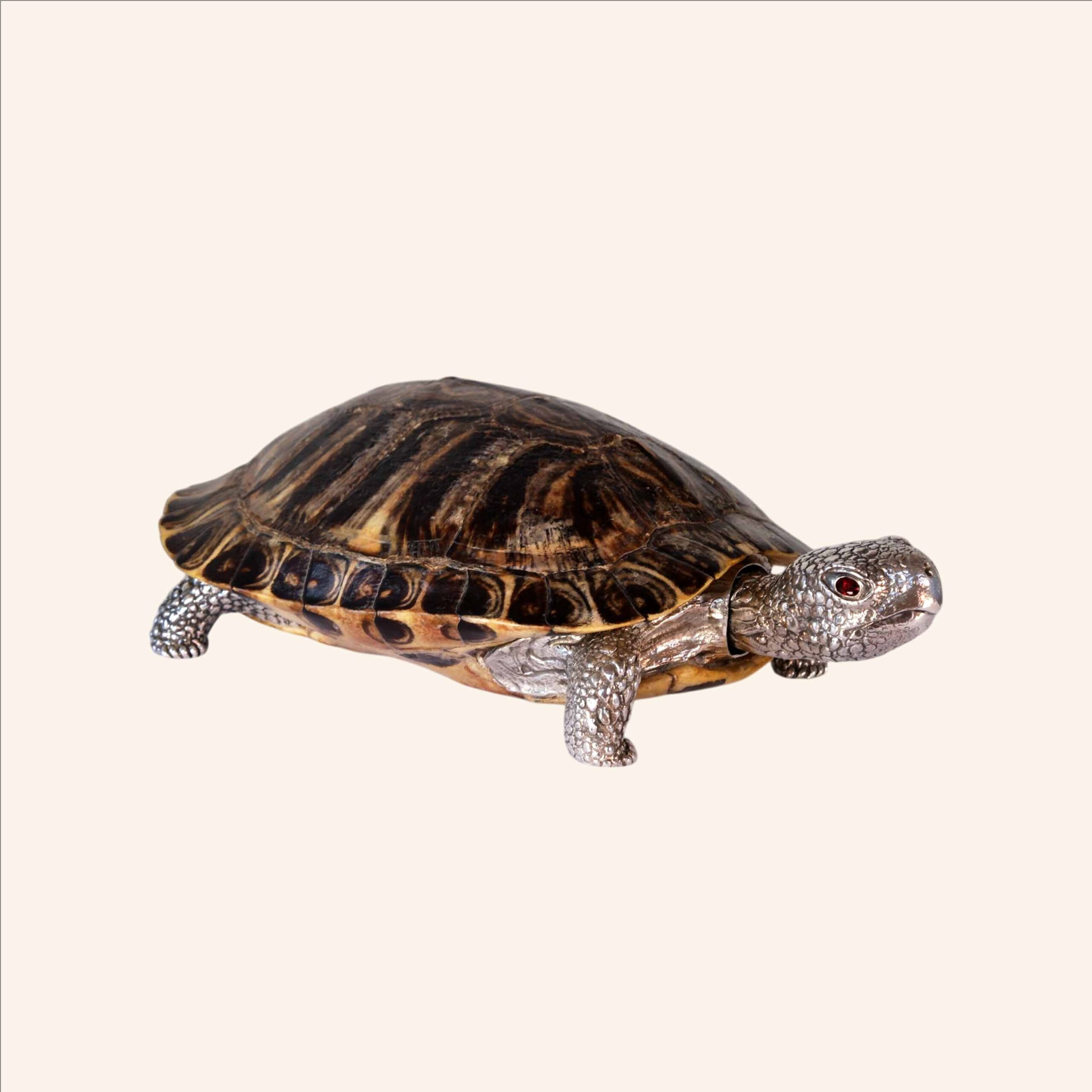 Sterling silver 925 turtle