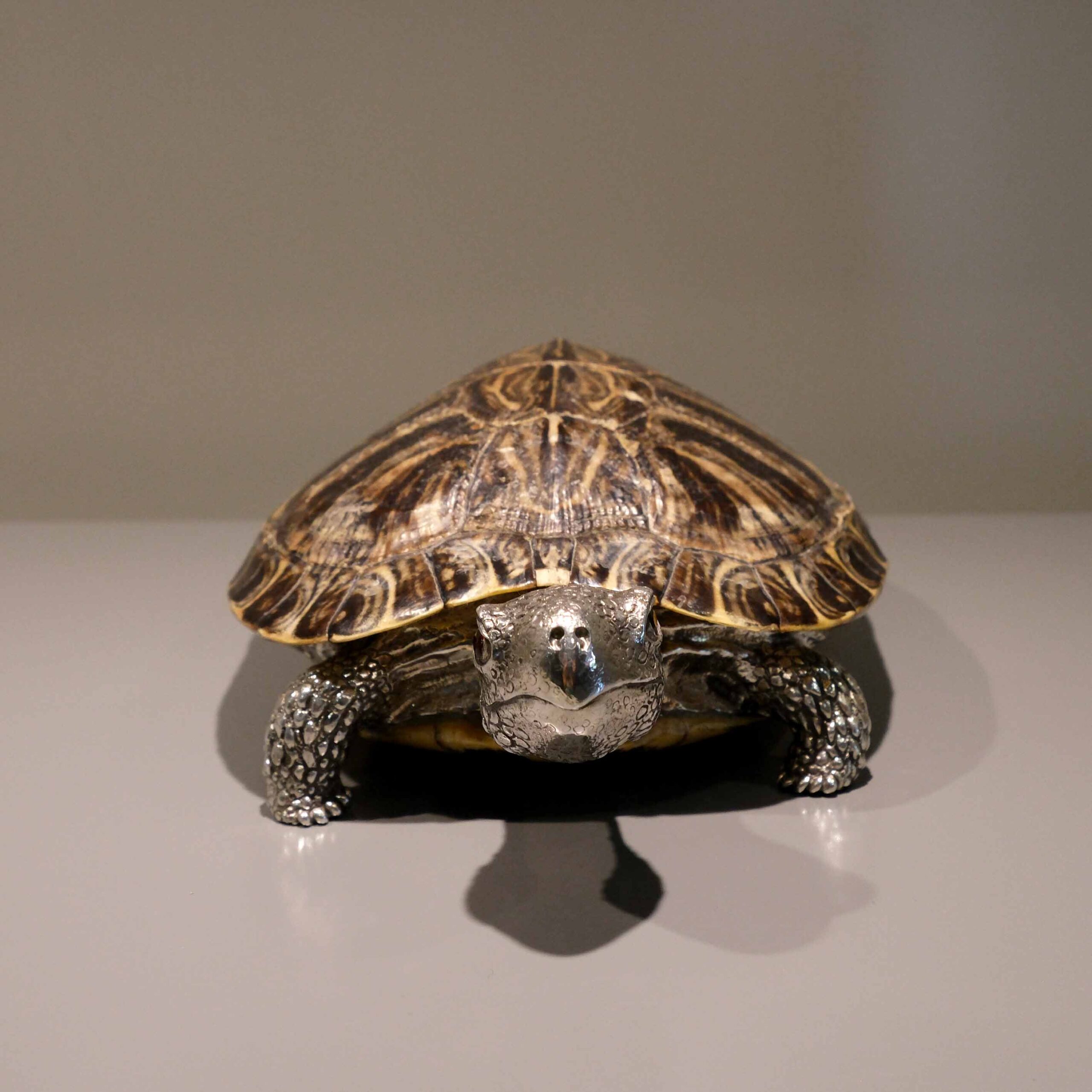 Sterling silver 925 turtle - Image 3
