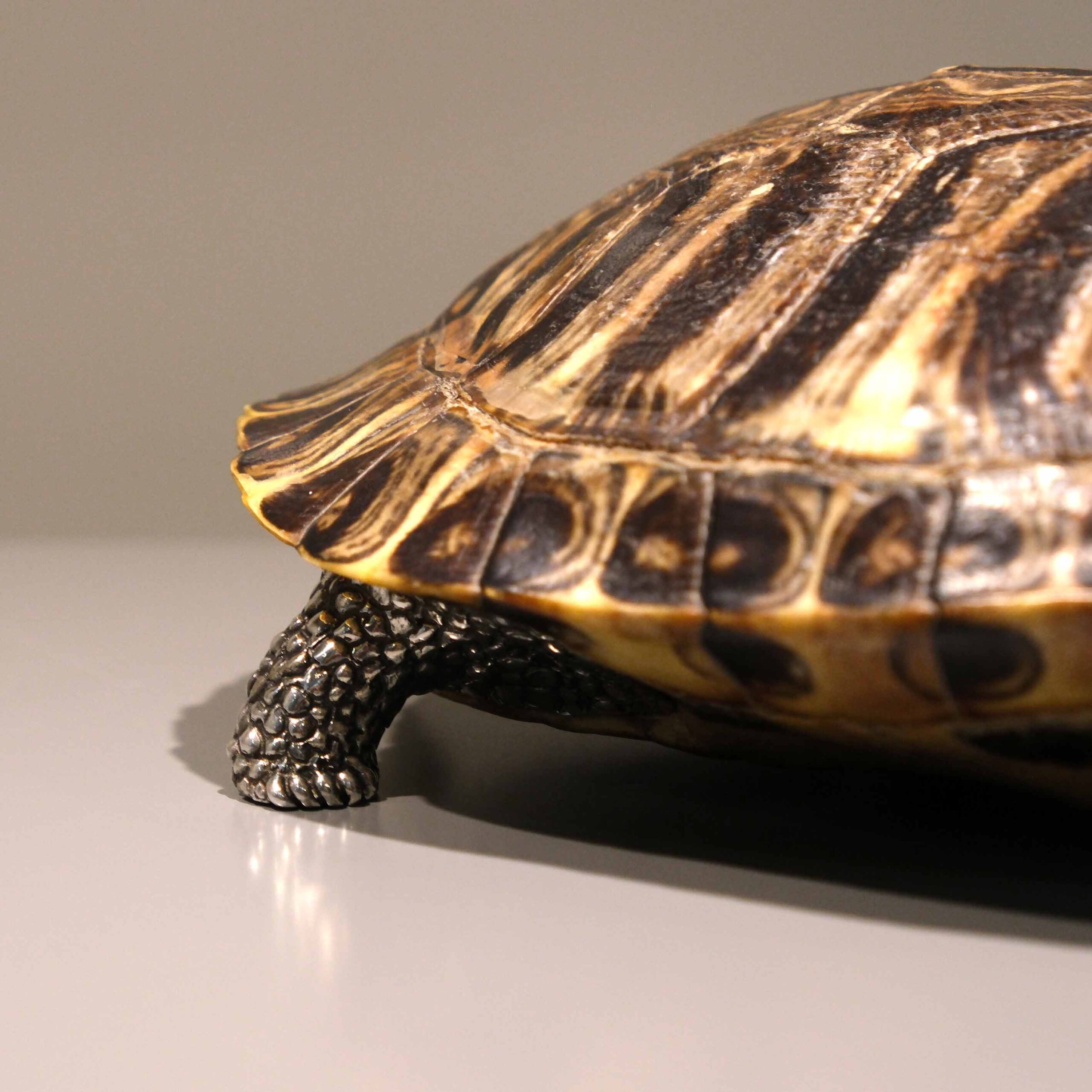 Sterling silver 925 turtle - Image 4