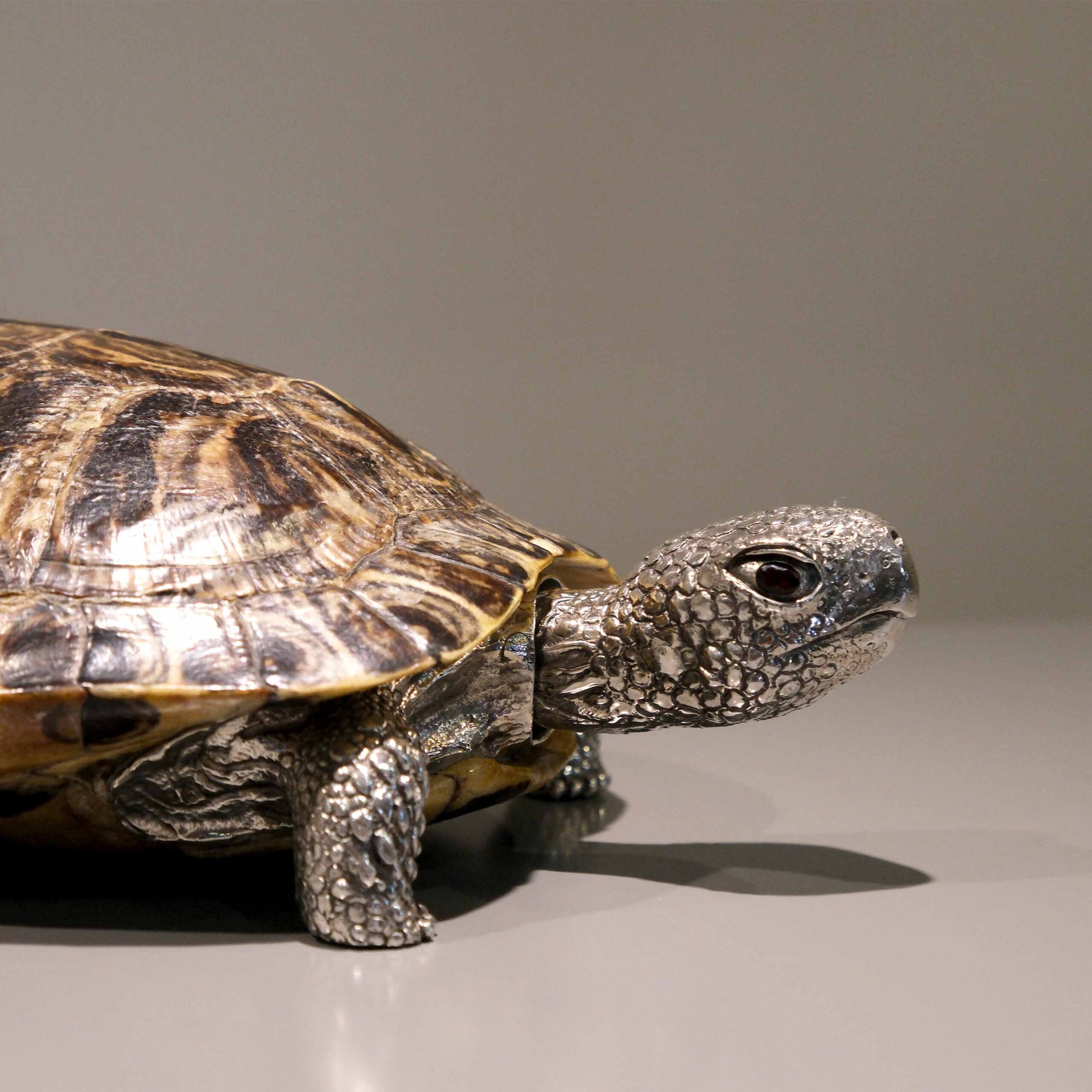 Sterling silver 925 turtle - Image 5