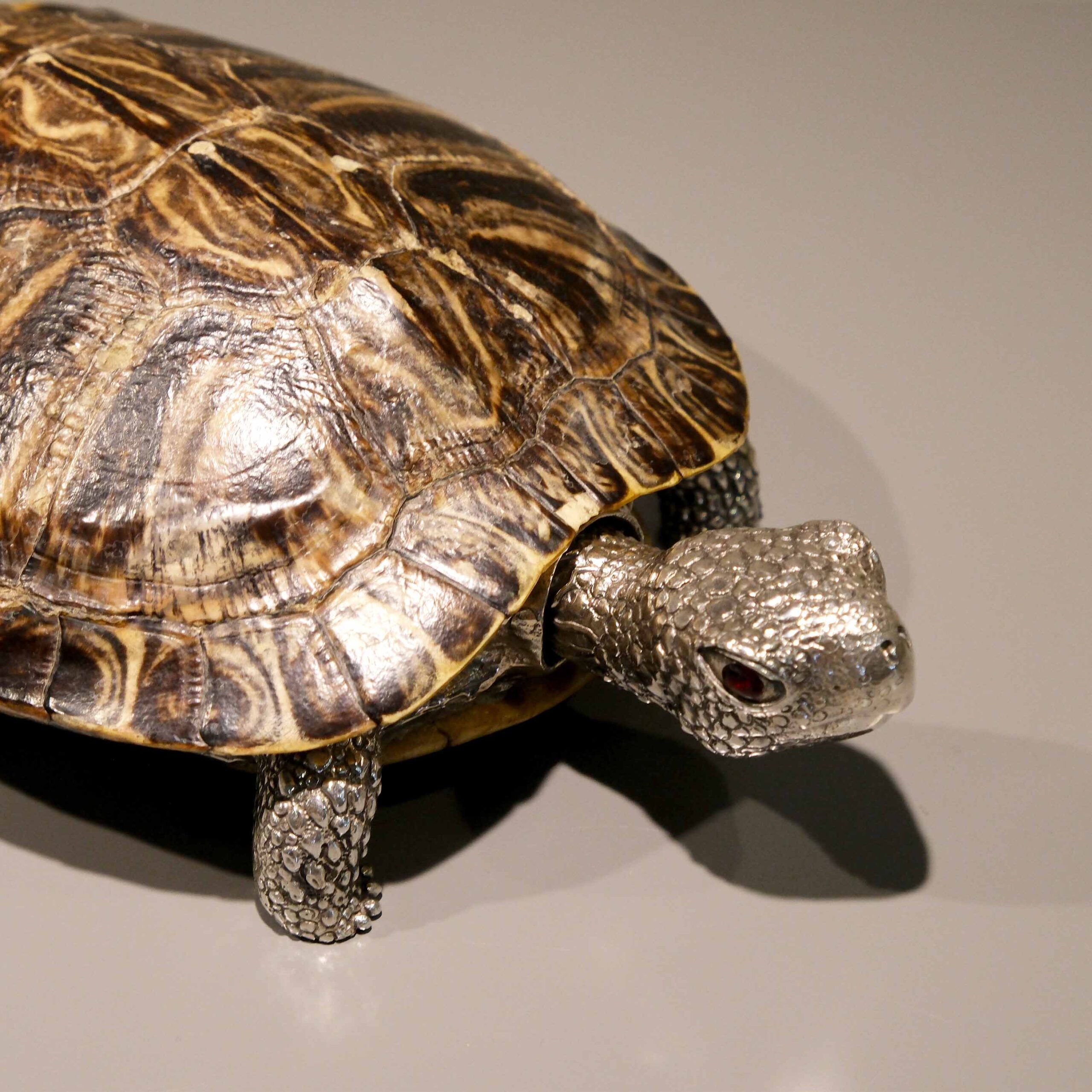 Sterling silver 925 turtle - Image 6