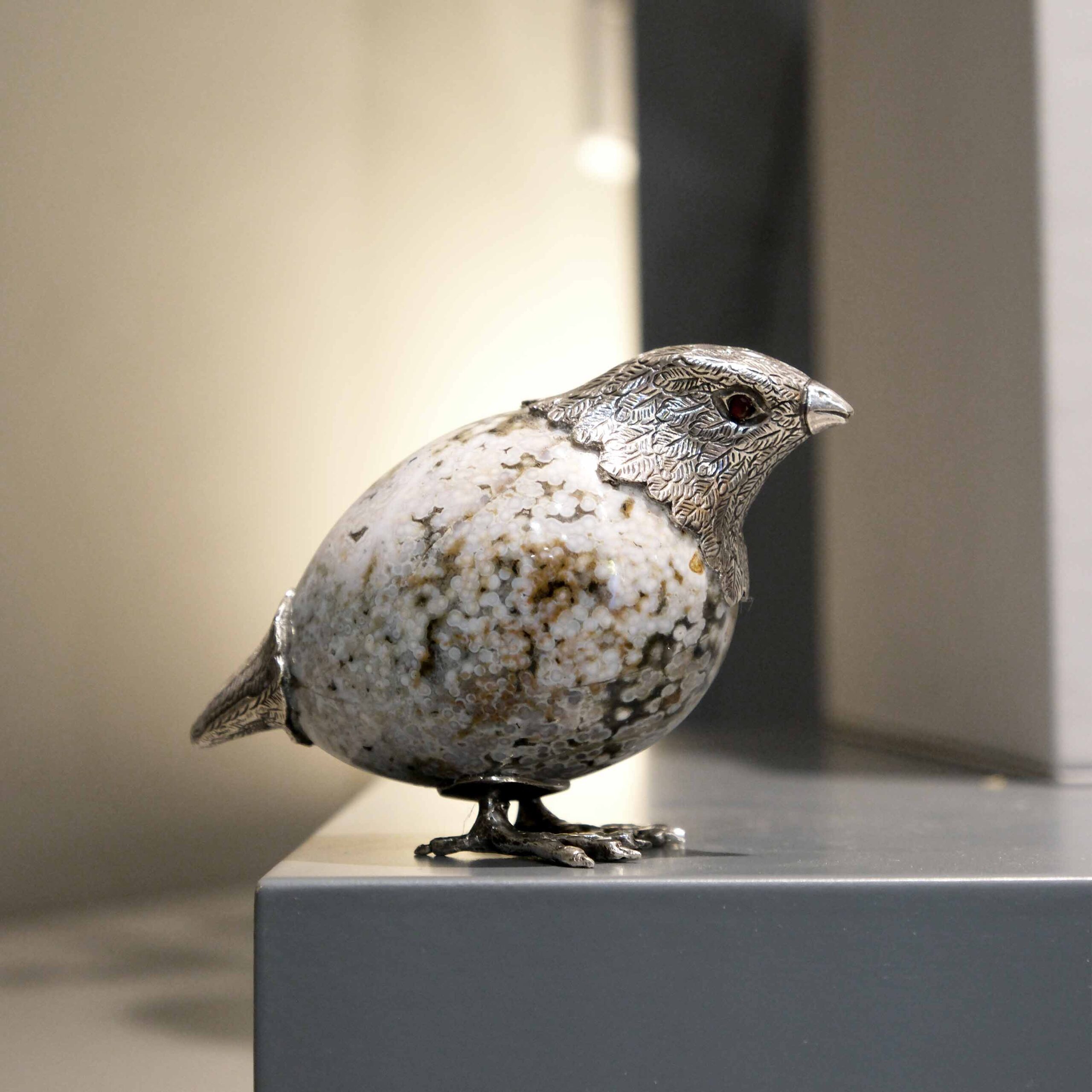 Codorniz com ovo jaspe - Image 2