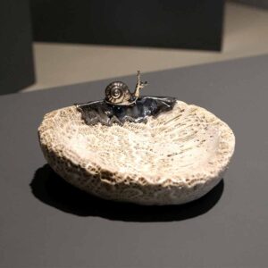 Alternative view of Taça coral fossil