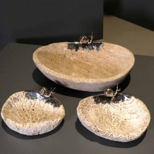 Alternative view of Taça coral fossil