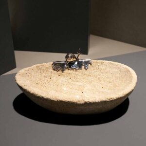 Alternative view of Taça coral fossil