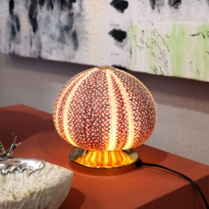 Sea urchin lamp