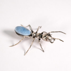 Alternative view of Formiga azul