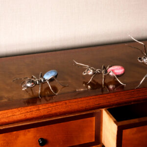 Alternative view of Pink Ant