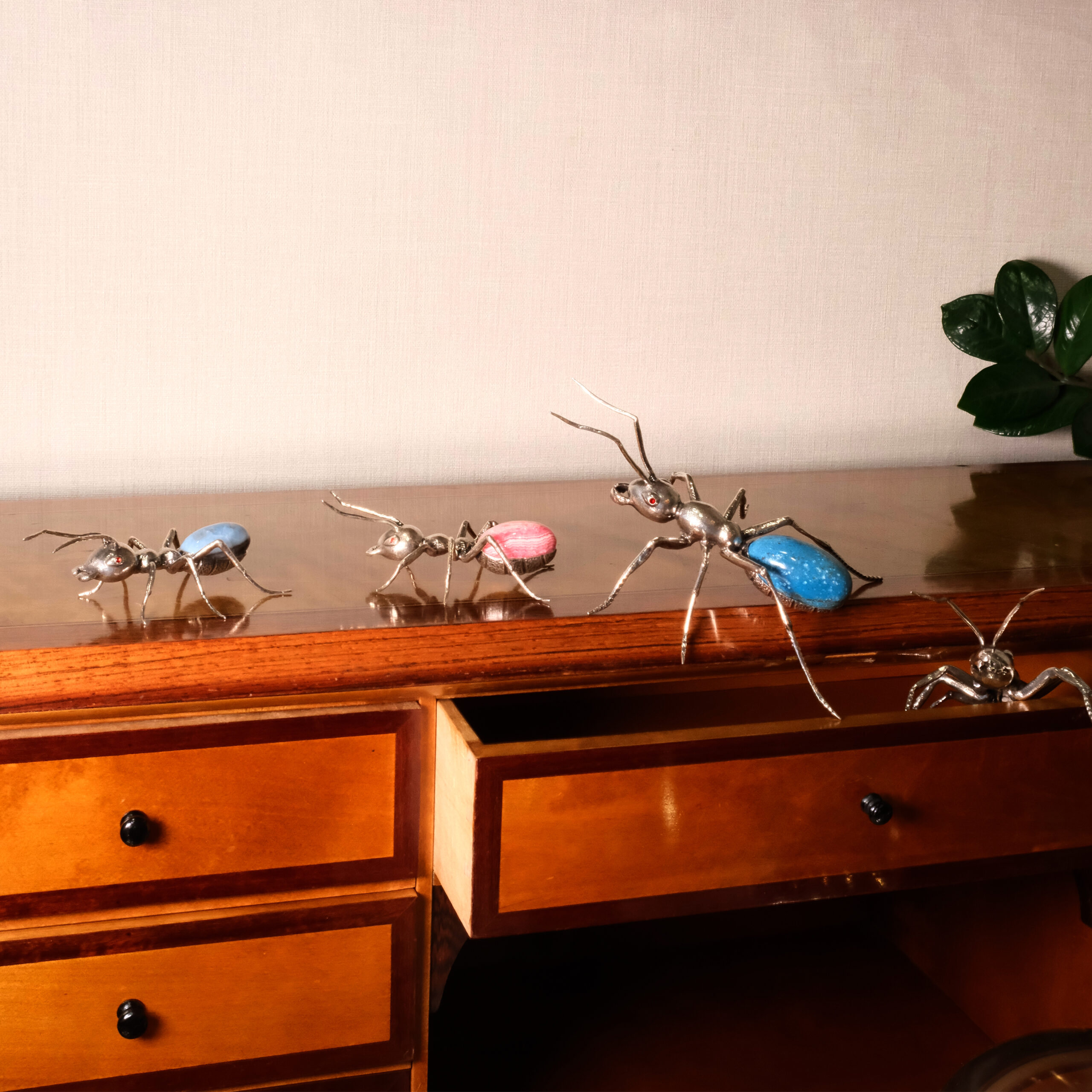 Formiga Rainha azul - Image 3