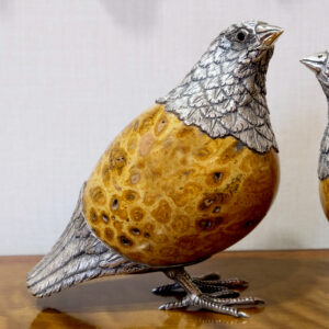 Alternative view of Quail with fossilized coral egg