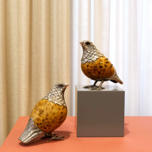 Alternative view of Quail with fossilized coral egg