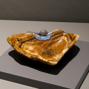 Alternative view of Taça aragonite com tartaruga