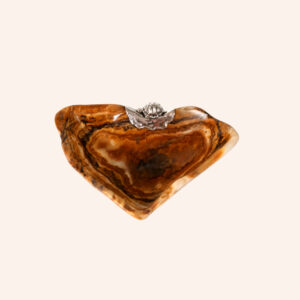 Taça aragonite com tartaruga