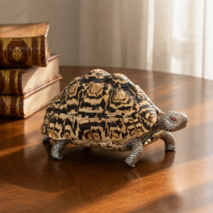 Alternative view of Tartaruga leopardo