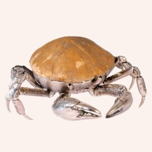 Crab with fossil sea urchin