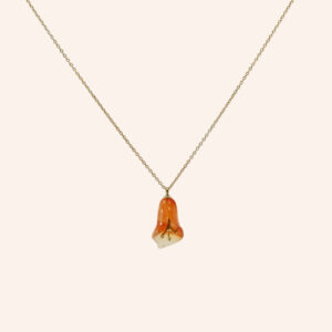 Carnelian agate jar necklace gold plated