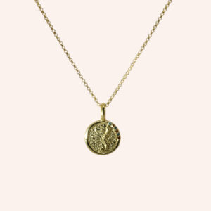 Colar medalha cavalo marinho dourado